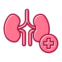 Urologist | Types of Doctors with Names
