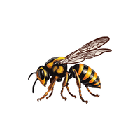 Wasp