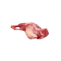 Wild boar meat