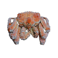 Wild Crab