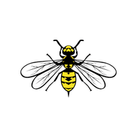 Yellow Jacket