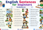 100 English Sentences for Beginners for Everyday Conversation