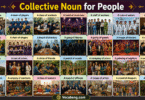 100 Examples of Collective Nouns for People in English