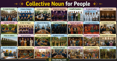 100 Examples of Collective Nouns for People in English