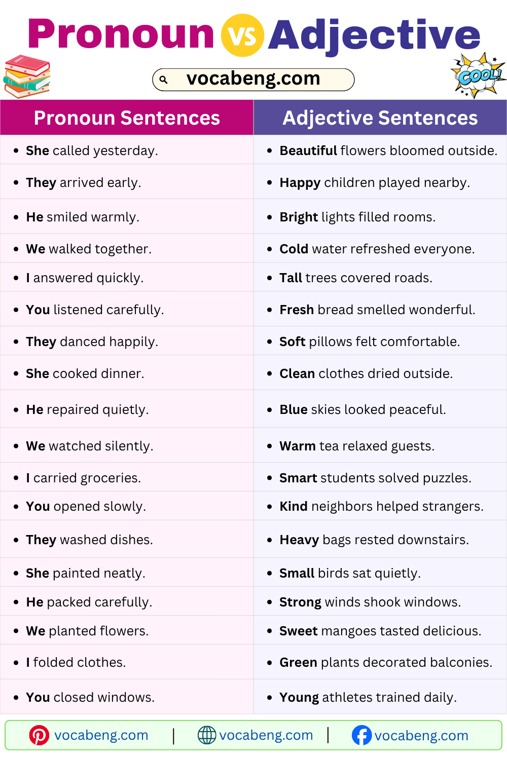 Daily Use Pronoun vs Adjective Examples Sentences