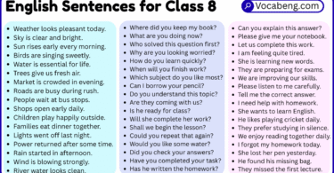 English Sentences for Class 8 with Their Pictures