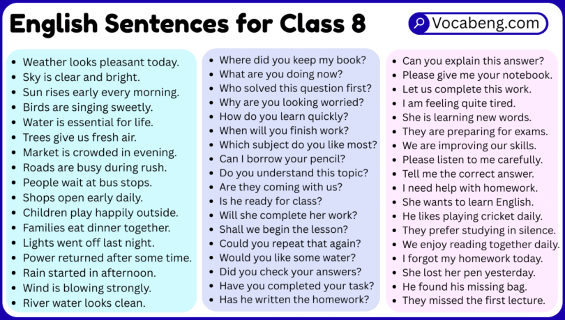 English Sentences for Class 8 with Their Pictures