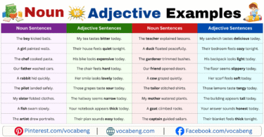 Noun vs Adjective Example Sentences in English with Pictures