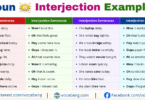 Noun vs Interjection Example Sentences in English with Pictures