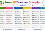 Noun vs Pronoun Examples Sentences in English with PDF