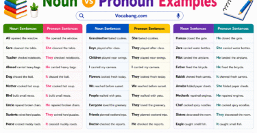 Noun vs Pronoun Examples Sentences in English with PDF