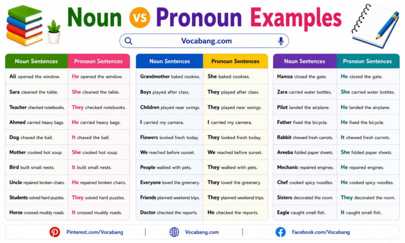 Noun vs Pronoun Examples Sentences in English with PDF