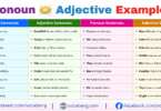 Pronoun vs Adjective Example Sentences in English with Pictures