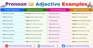 Pronoun vs Adjective Example Sentences in English with Pictures