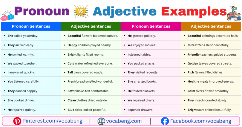 Pronoun vs Adjective Example Sentences in English with Pictures