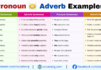 Pronoun vs Adverb Example Sentences in English with Pictures