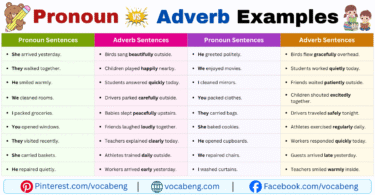Pronoun vs Adverb Example Sentences in English with Pictures