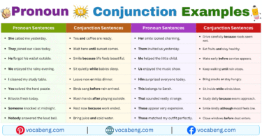 Pronoun vs Conjunction Example Sentences in English with Pictures