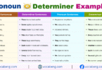 Pronoun vs Determiner Example Sentences in English with Pictures