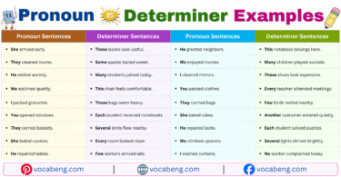 Pronoun vs Determiner Example Sentences in English with Pictures