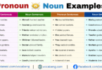 Pronoun vs Noun Examples Sentences in English with Pictures
