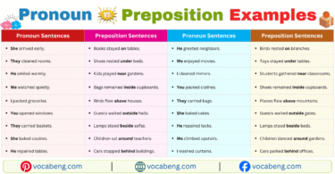 Pronoun vs Preposition Example Sentences in English with Pictures