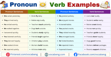 Pronoun vs Verb Example Sentences in English with Pictures