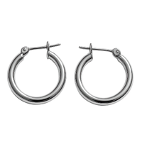 Silver Hoop | Types of Earrings with Names