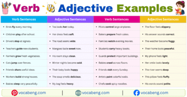 Verb vs Adjective Examples Sentences in English with Pictures