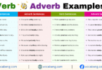 Verb vs Adverb Examples Sentences in English with Pictures