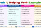 Verb vs Helping Verb Example Sentences in English with Pictures