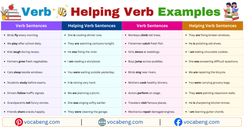 Verb vs Helping Verb Example Sentences in English with Pictures