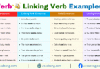 Verb vs Linking Verb Example Sentences in English with Pictures