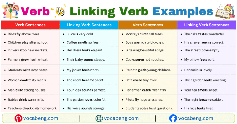 Verb vs Linking Verb Example Sentences in English with Pictures