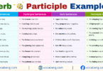 Verb vs Participle Example Sentences in English with Pictures