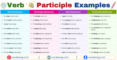 Verb vs Participle Example Sentences in English with Pictures