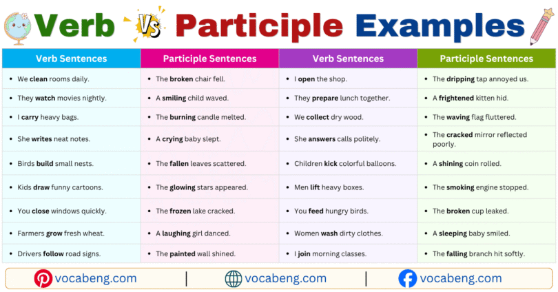Verb vs Participle Example Sentences in English with Pictures