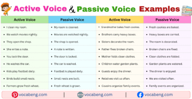 100 Active Voice and Passive Voice Examples Sentences in English with Pictures