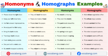 100 Homonyms and Homographs Example Sentences in English with Pictures