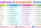 100 Homophones and Homographs Examples Sentences in English with Pictures