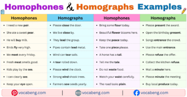 100 Homophones and Homographs Examples Sentences in English with Pictures