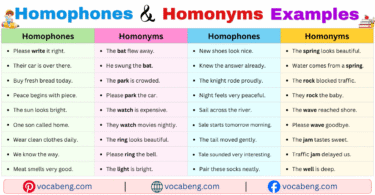 100 Homophones vs Homonyms Examples Sentences in English with Pictures