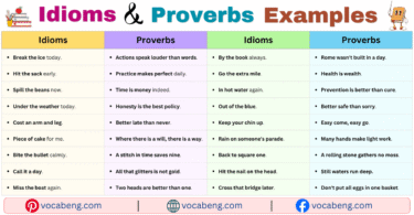 100 Idioms and Proverbs Examples Sentences in English with Pictures