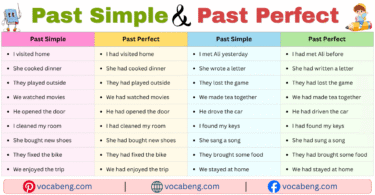 100 Past Simple and Past Perfect Example Sentences in English with Pictures