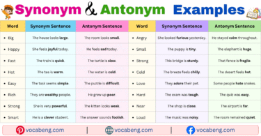 100 Synonyms and Antonyms Examples Sentences in English with Pictures