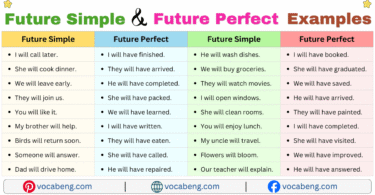 Future Simple and Future Perfect Examples Sentences in English with Pictures