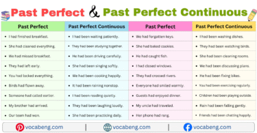 Past Perfect and Past Perfect Continuous Examples Sentences in English with Pictures