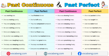 100 Past Continuous and Past Perfect Examples Sentences in English with Pictures