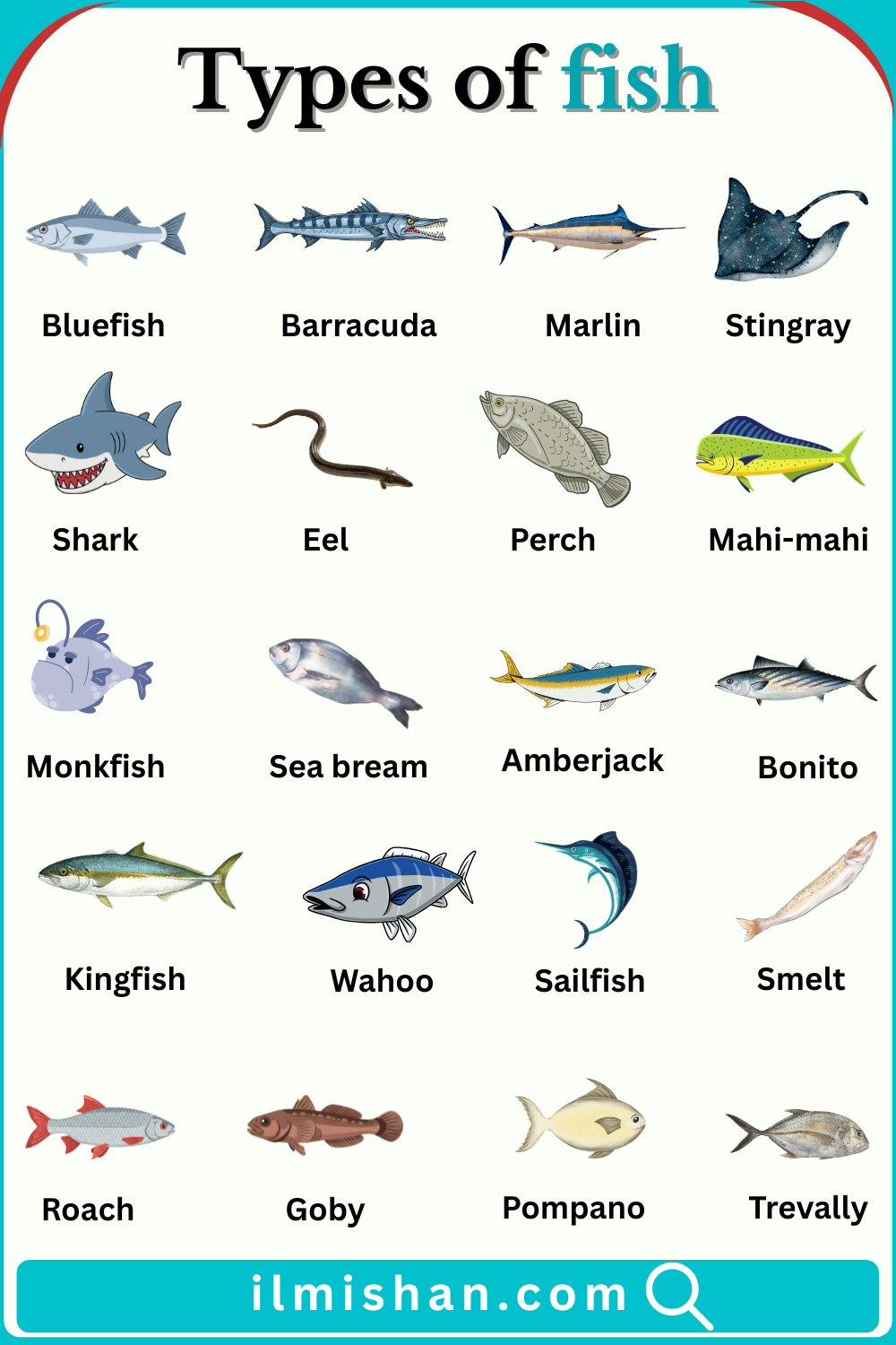 20 Types of Fish with Names In English With Images