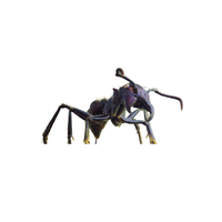 Amazon Ant | Different Types of Ants and their Names